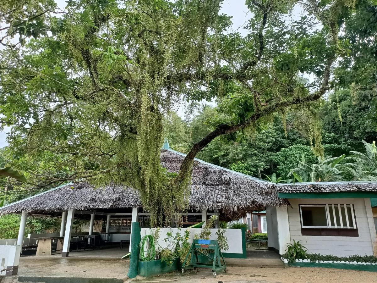 Agta Beach Resort Biliran Buitenkant foto