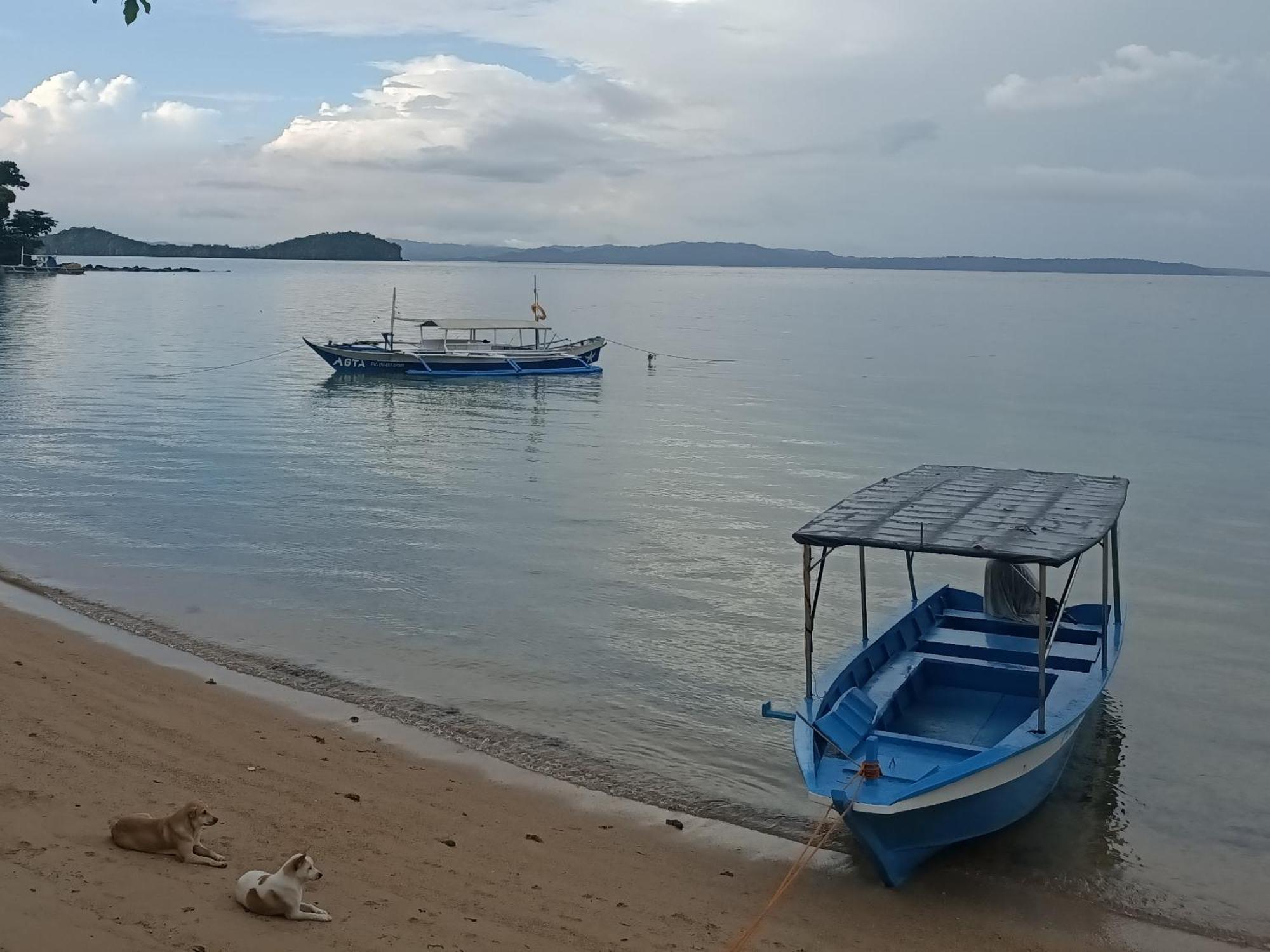 Agta Beach Resort Biliran Buitenkant foto
